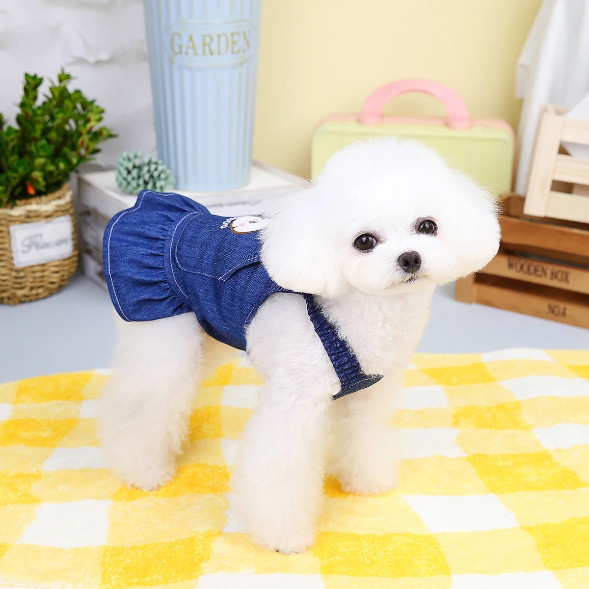 Perros Machos Ropa Para Caniche Toy French Poodle Ropita Para
