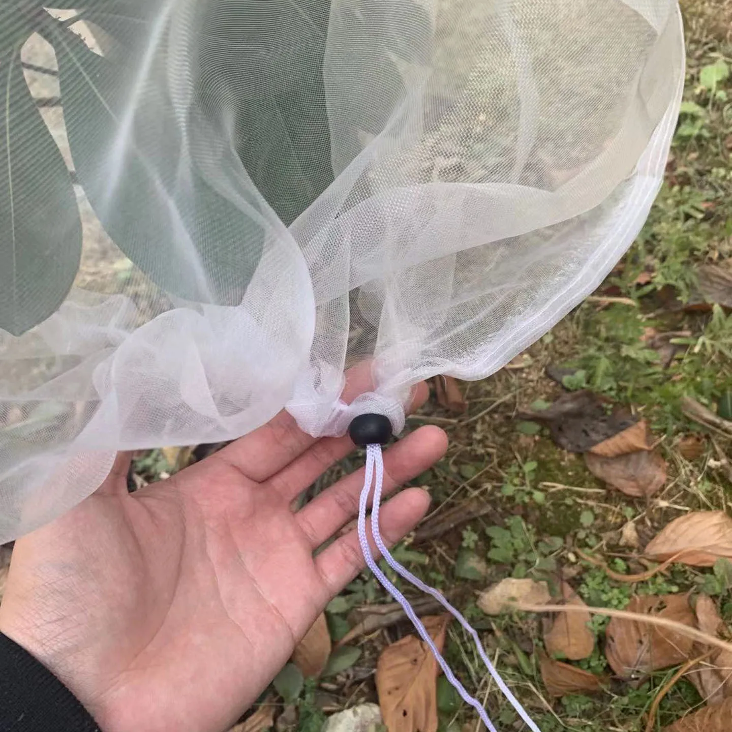 Filet de couverture de sac de protection des plantes pour fruits et légumes, barrière d'arbre, grappes Harvey, lutte antiparasitaire, outils de jardin anti-oiseaux