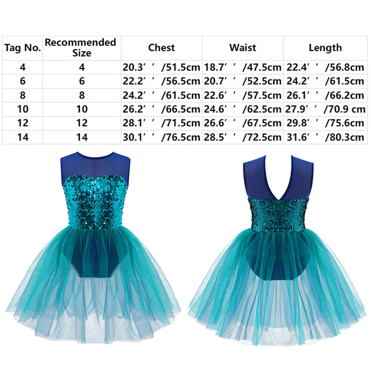 Girls Ballet Dance Dress Leotard Tutu Skirt Performance Costume