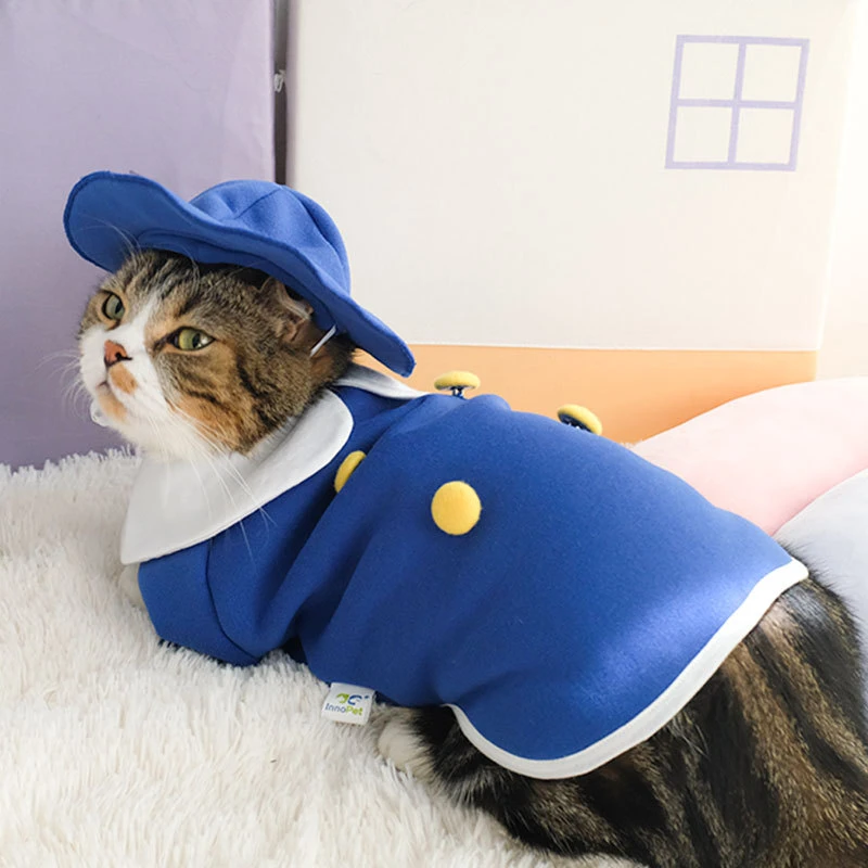 Cat Clothes with Hat Autumn Winter Jacket Kitten Cute Blue Cats Short Warm Hair proof Clothing