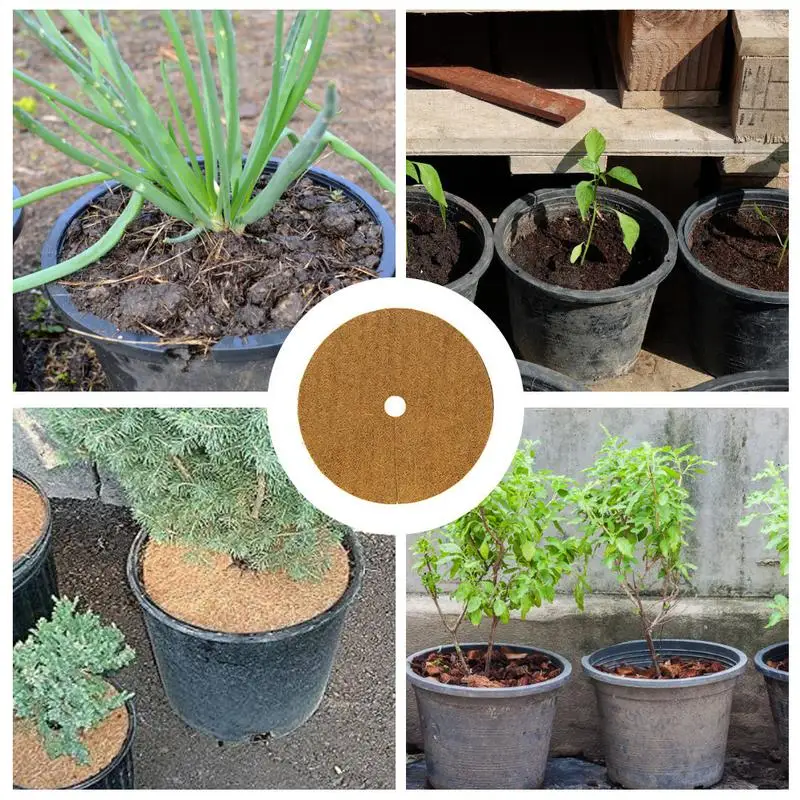 

Coconut Mulch Cover Mulch Disc Plant Cover Coir Mat For Gardening Mulch Disks Frost Protect Cold Protect Winter Mulching Coco