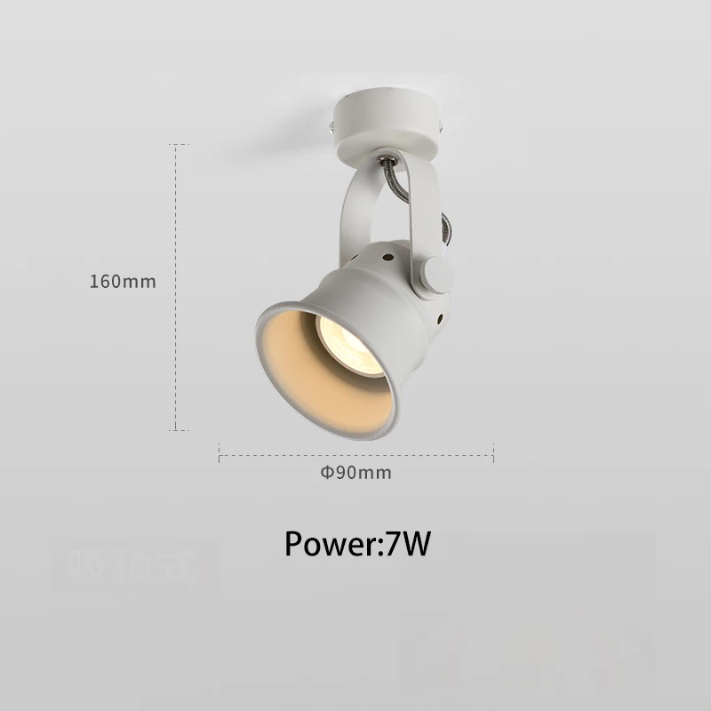 Ceiling type white