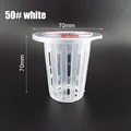 NO.50 white