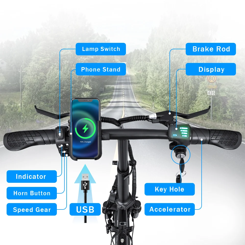 Electric Bike for Adults 4