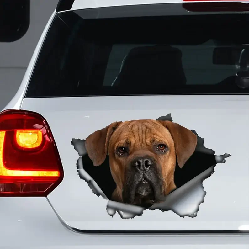 Tan Cane Corso Car Decal, Tan Cane Corso Magnet, Tan Cane Corso Sticker