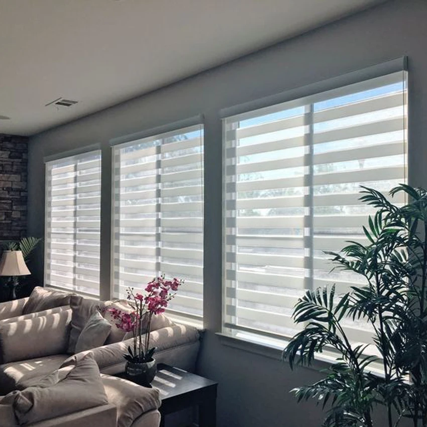 DIHIN HOME Canada Window Blackout Dual Roller Shades Custom Size High