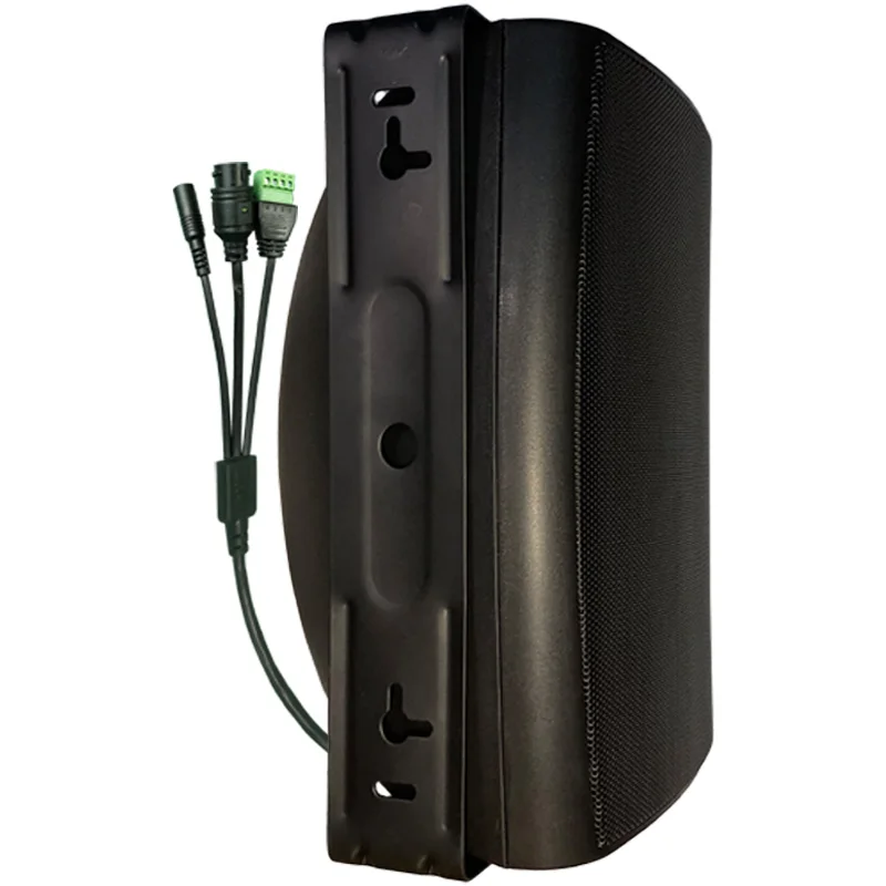 30W Black IP Network Active Wall Mount Audio Speaker for School