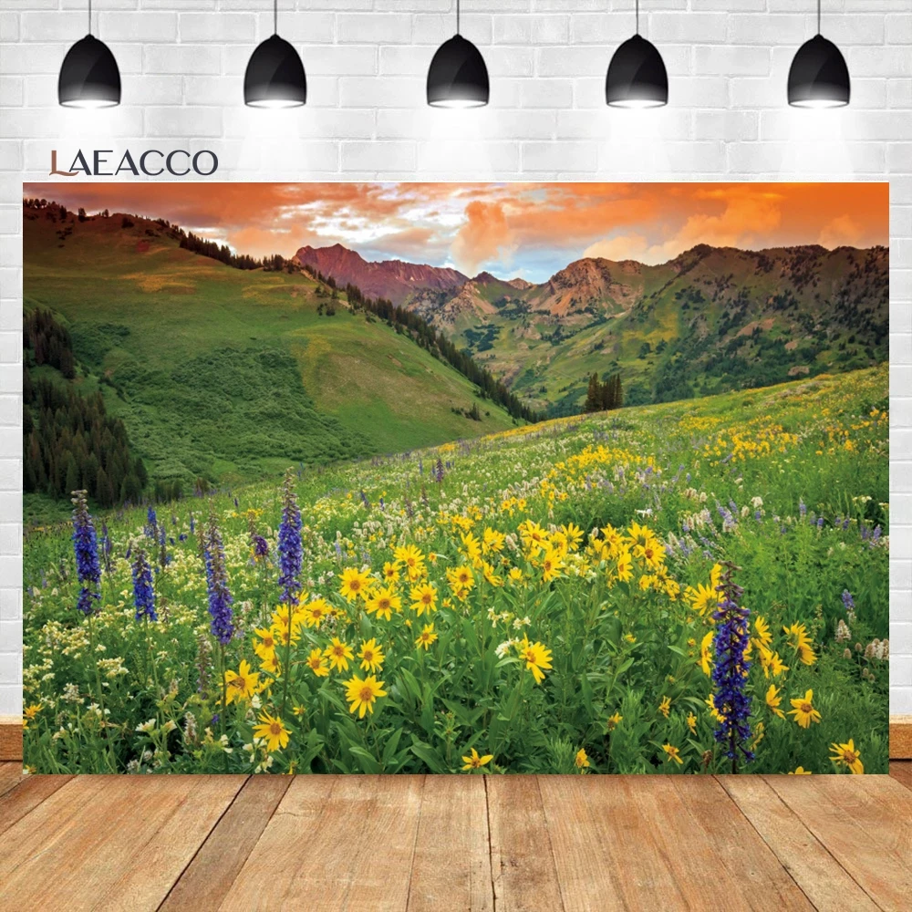 Laeacco ö    ,  , ʿ ߻ȭ, ܵ ,   ʻȭ 