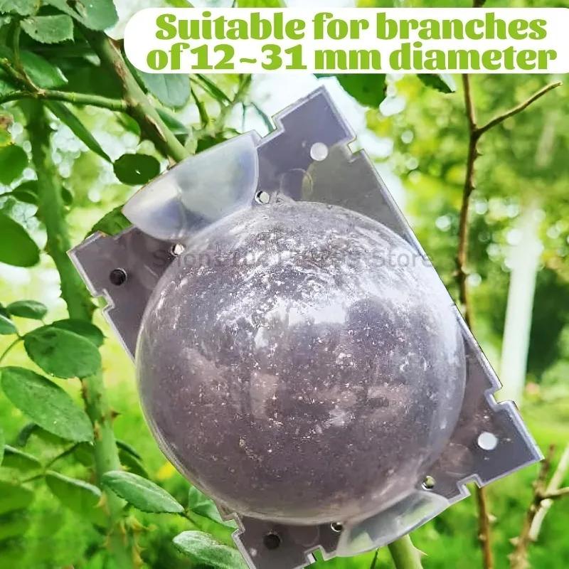 Reusable Plant Rooting & Propagation Ball