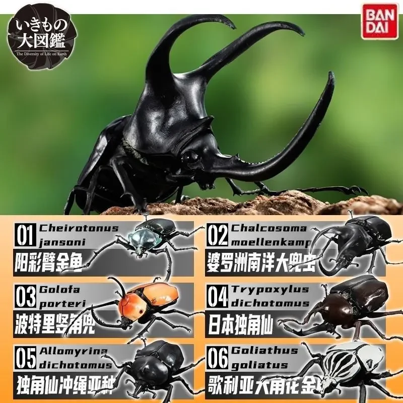 

Bandai жук, слепые яйца, однороговая сказочная Поворотная яйца, Золотая черепаха, мегаполидия, насекомые, карта, украшение серии