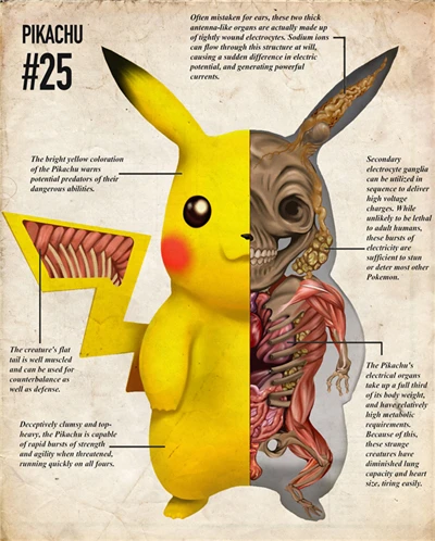 Poster enmarcado, Pokemon Iniciales