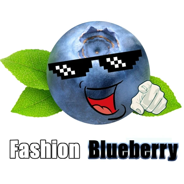 Blueberry Plus Store