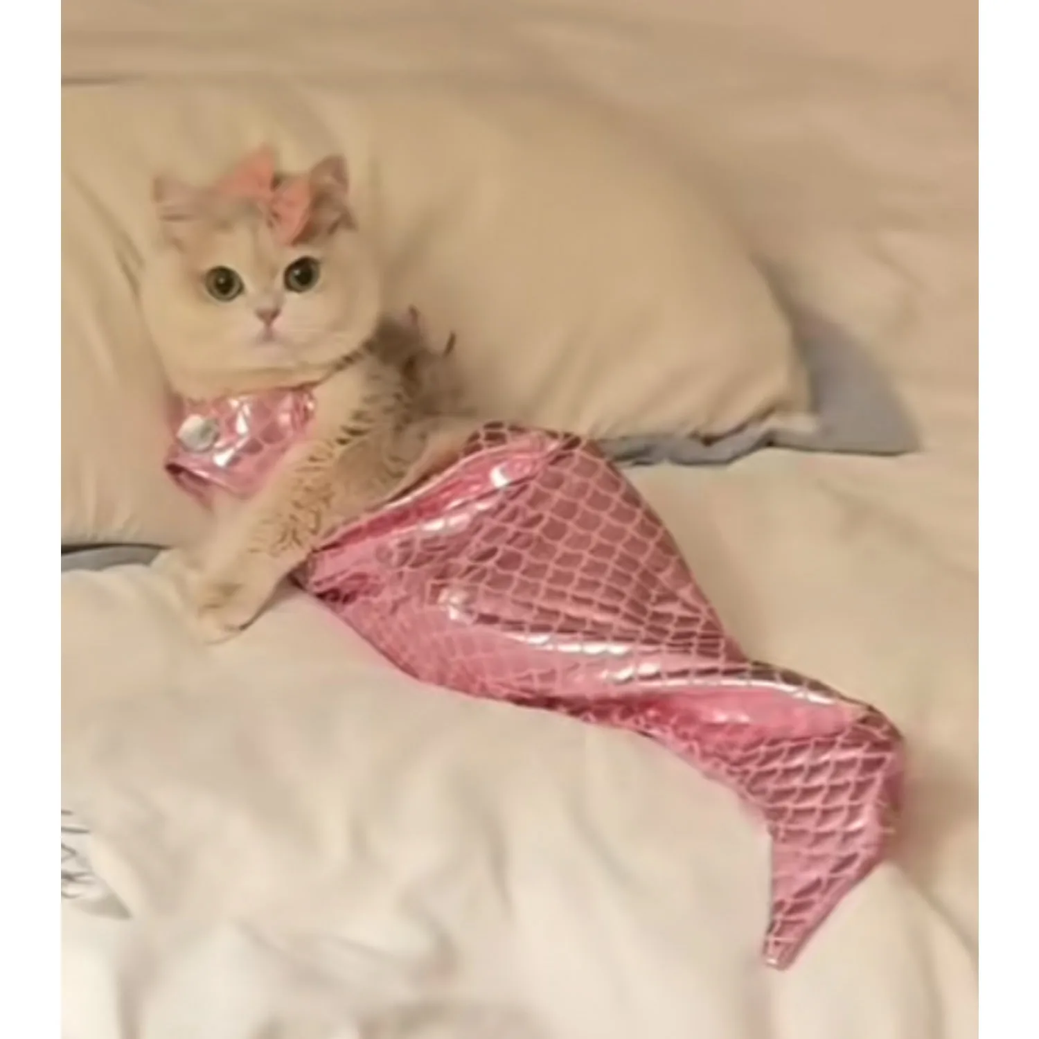 Cat Halloween Costumes Sparkly Cosplay Dog Clothes Outfit Small Kitten Birthday Party Dressing Up Pet Costumes Cos dog costume set