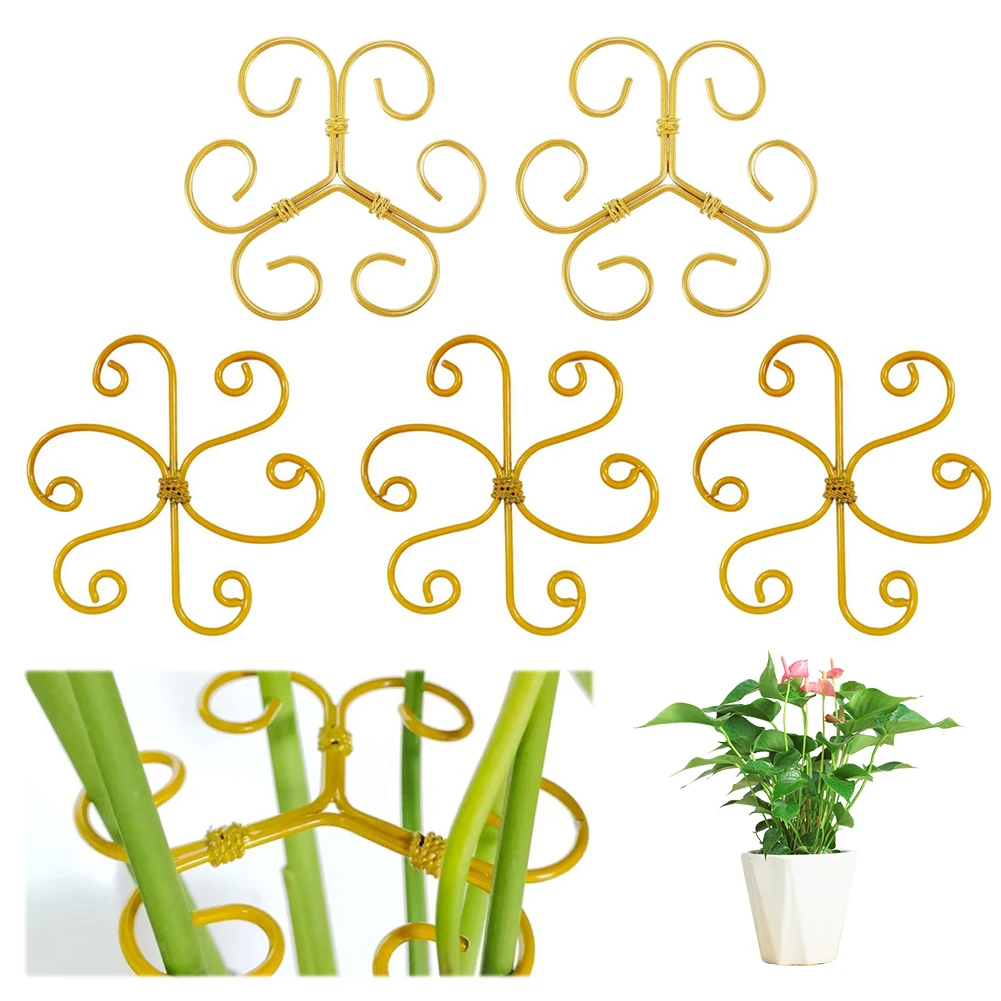 Metal Plant Stem Support Reusable Holder for Indoor Monstera Plants