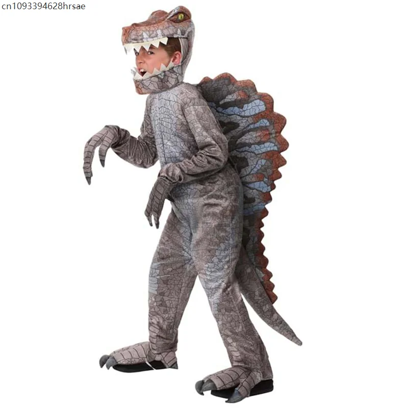 Boys Dinosaur Costume Set 3