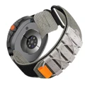 Gray-Black Buckle