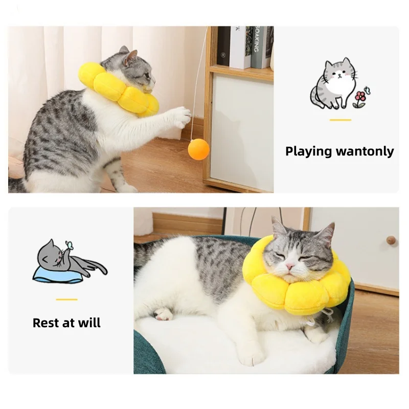 Sunflower Pet Elizabethan Collar 6