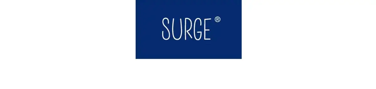 Surge 24aw Mountain print hoodie soroan material casual urban outdoor gorpcore