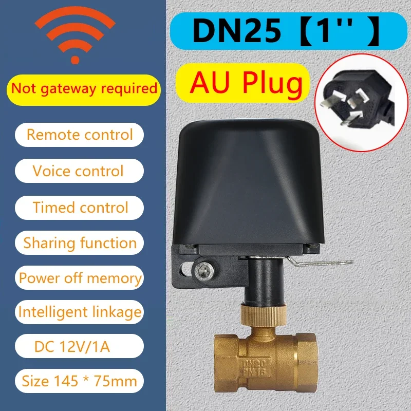 WiFi DN25 AU Plug