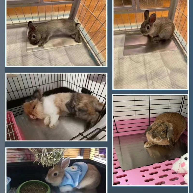 Pet cooling pad summer cooling plate heat dissipation pad summer cooling and heat dissipation stainless steel plate pet supplies