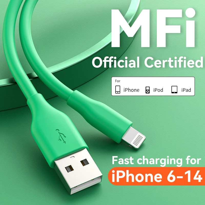 MFiCertified24AUSBtoLightningFastChargingCableForiPhone614