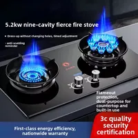 Cuisinière à gaz, double brûleur, cuisinière domestique à gaz GPL/gaz naturel, cuisinière à gaz encastrable haute puissance 3
