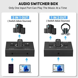Compact Audio Switcher with Mute Function - Dual Input/Output Selector