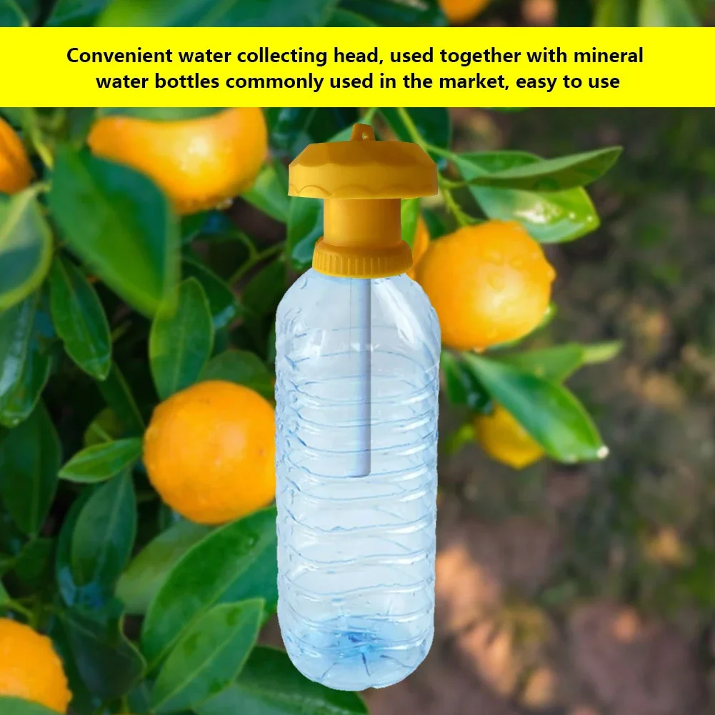 1-6PCS Fruit Fly Trap Plastic Drosophila Trap Anti Fly Fruit Fly Killer Catcher Orchard Insect Trap Pest Control Products