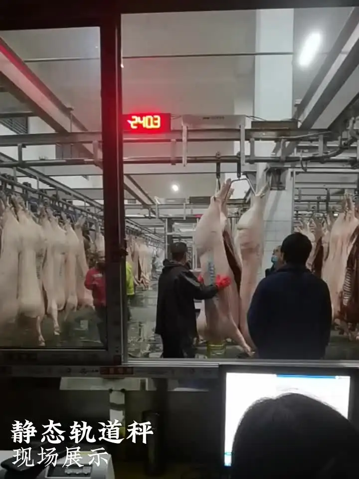 Весы для резки свиней крупного рогатого скота и овец