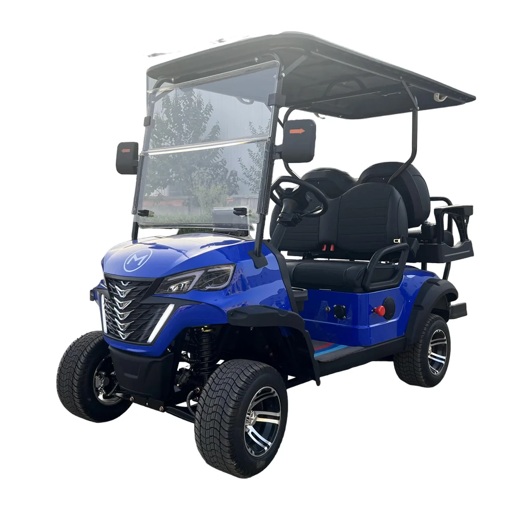 Vendita Calda 5000W 7000W 2 + 2 4 Posti Ebike 4 Ruote 48/60/72V Mobilità Elettrica Scooter City Golf Cart Elettrico