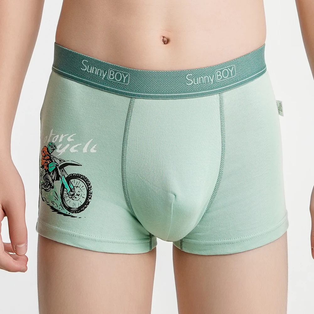 Big Size Children Boys Panties Boxers Briefs Kid Boy Motor Cool Cartoon Print Cotton Student UnderWear Underpanties M-2XL