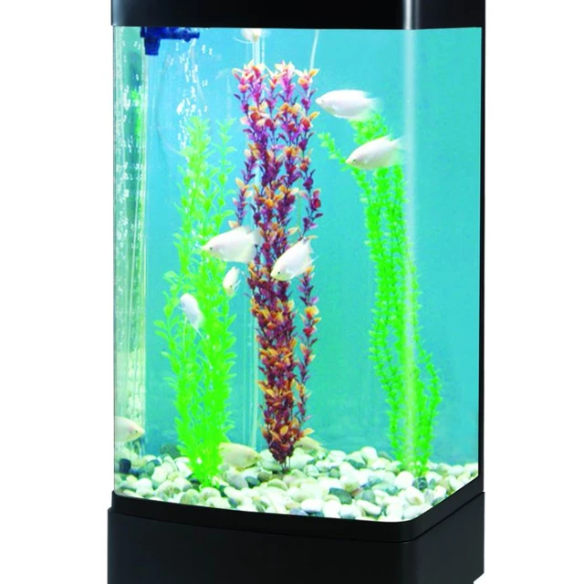 aquarium fish tank supplier fish tank fresh water wholesale fish