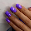False Nails--40-82