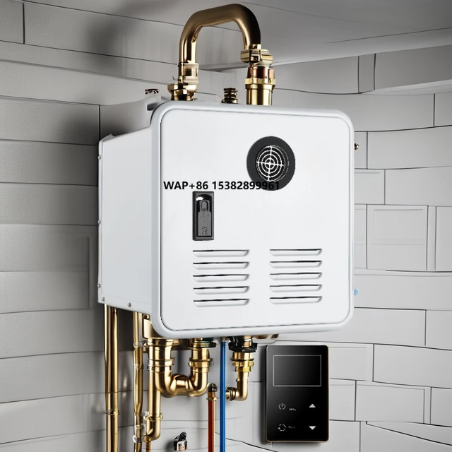 Chauffe-eau sans réservoir pour camping-car - 55 000 BTU - Eau chaude - Porte blanche et télécommande incluses 1
