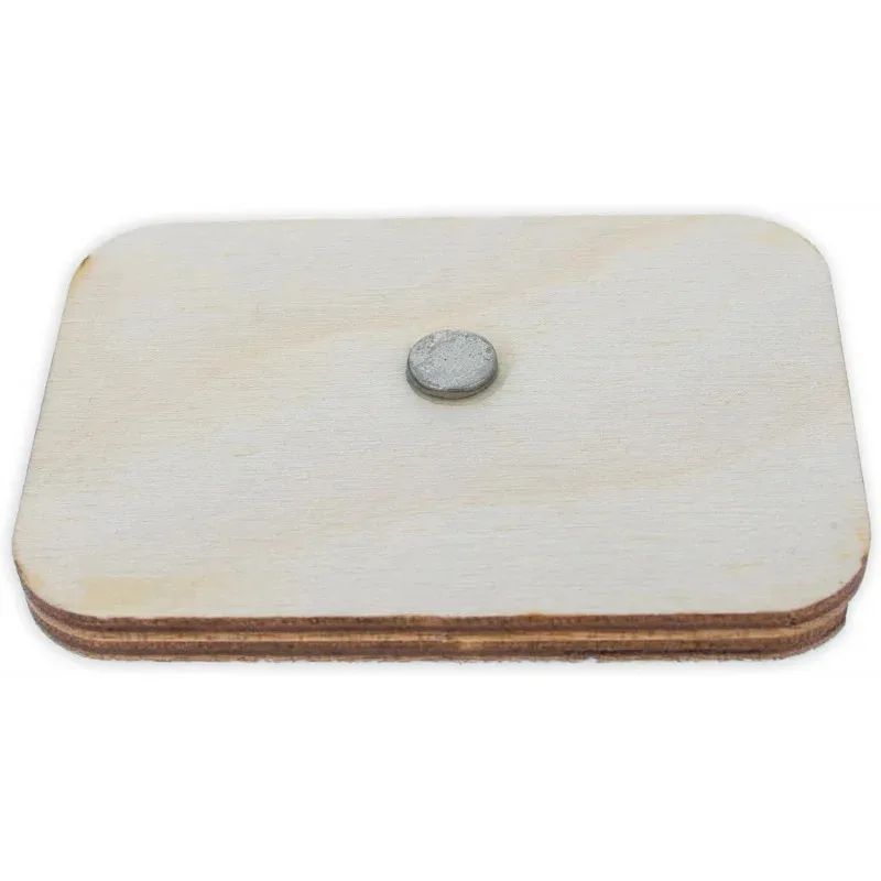 Charles Bridge Wooden Fridge Magnet Prague Decor