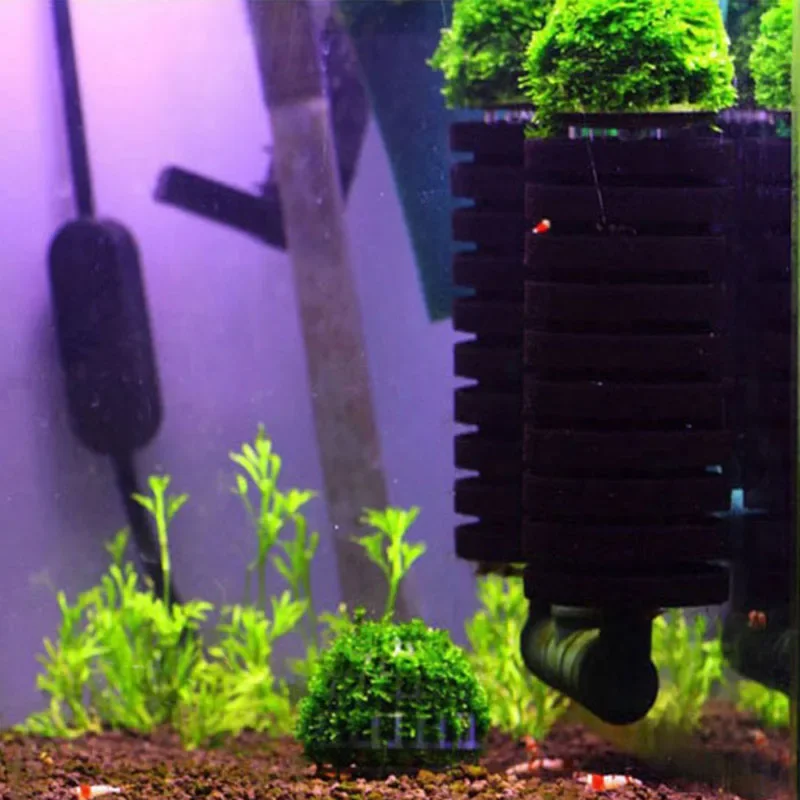 Aquarium Moss Ball Holder 4