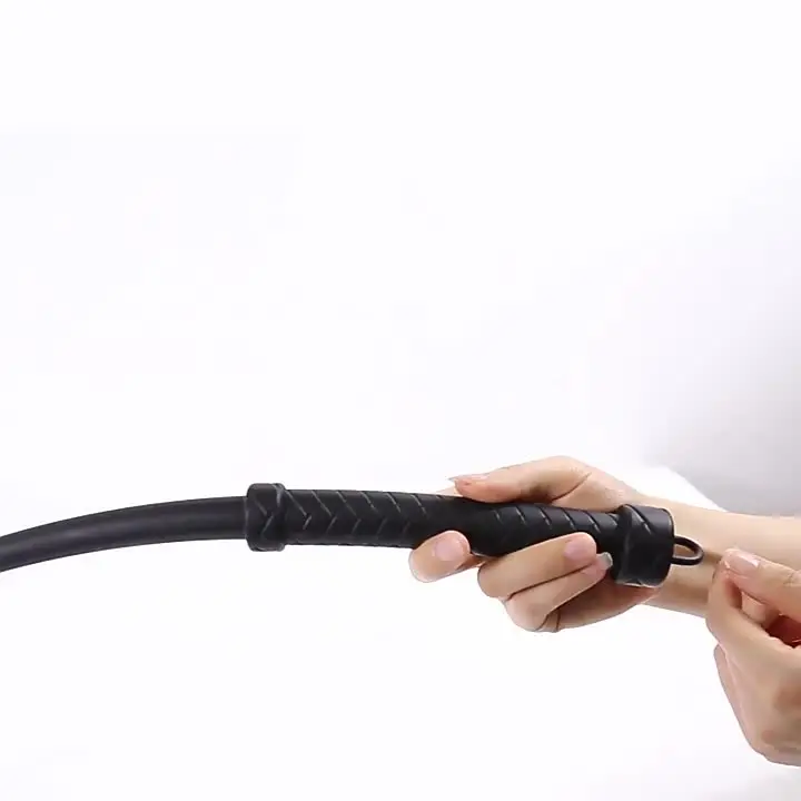 Rouler Pour Les Chevaux - Dispositif D'entraînement De Conduite, Fouet