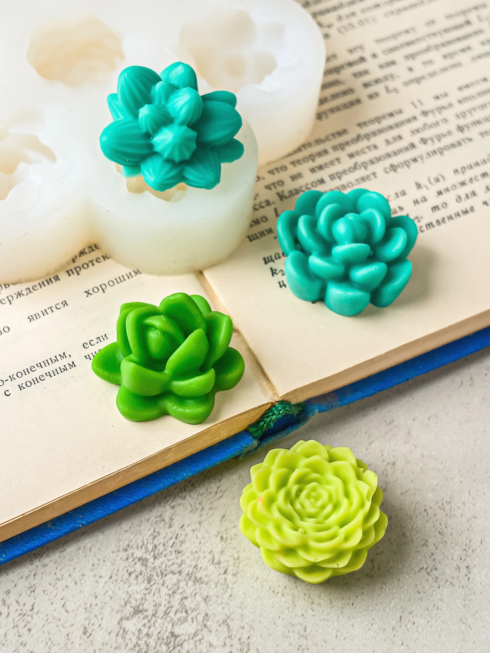 7-Piece 3D Succulent Flower Silicone Mould Set