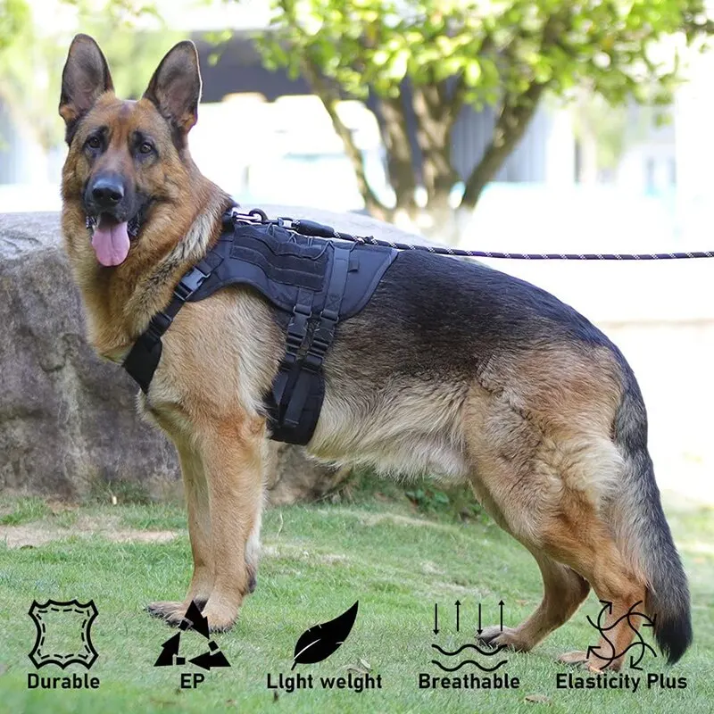 dog harness for medium large dogs