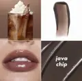 Java Chip
