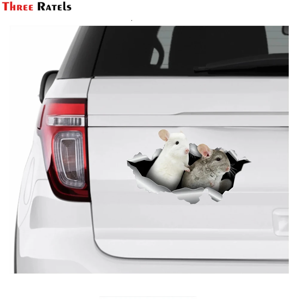 

Three Ratels I606 Chinchilla Pet Auto Window Sticker Car Decor For Scirocco Mazda 3