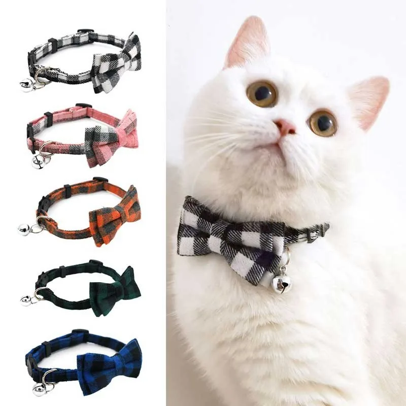 cat collar.jpg_.webp
