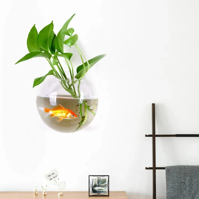 Vase Mural Durable pour Gain de Place, Conteneur de Plante en Verre,  Terrarium, Goutte d'Eau, Large Bouche, Décoration de Maison - AliExpress