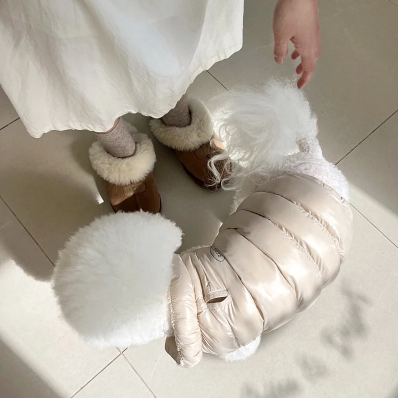 반려동물 겨울 면 옷 따뜻한 강아지 옷, 테디 두꺼운 재킷, 비숑 아웃 단색 다운 코트, 반려동물 용품