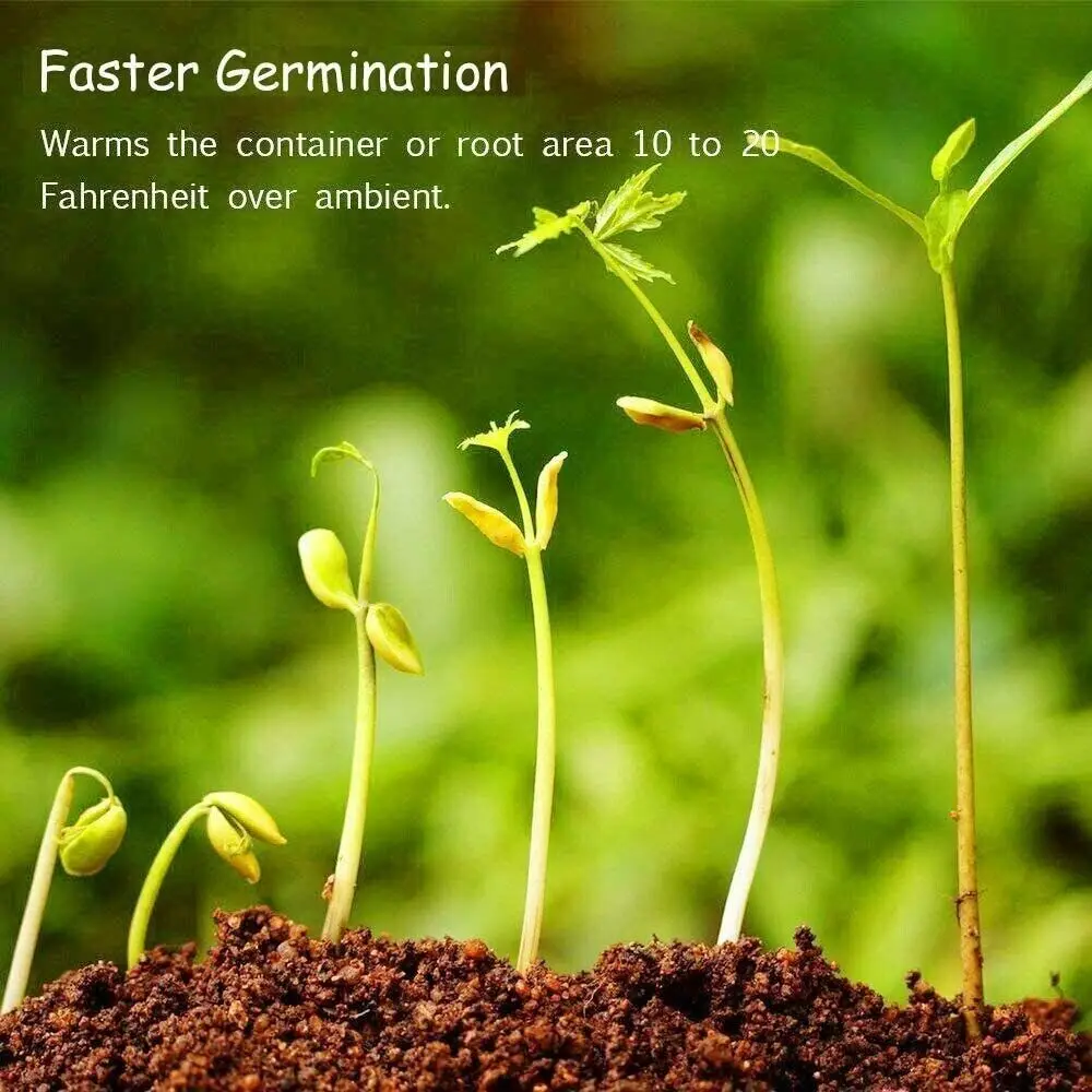 Planting heating mat temperature controller indoor for seeding germination home brewing glass container heating waterproof mat
