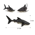Whale Shark-3