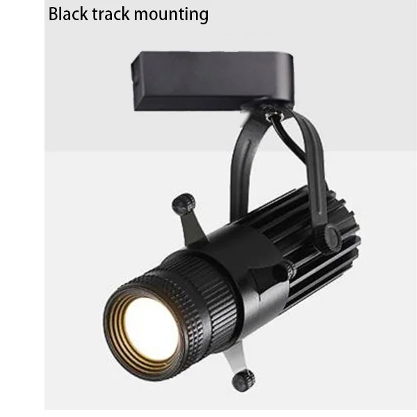 Black Track light