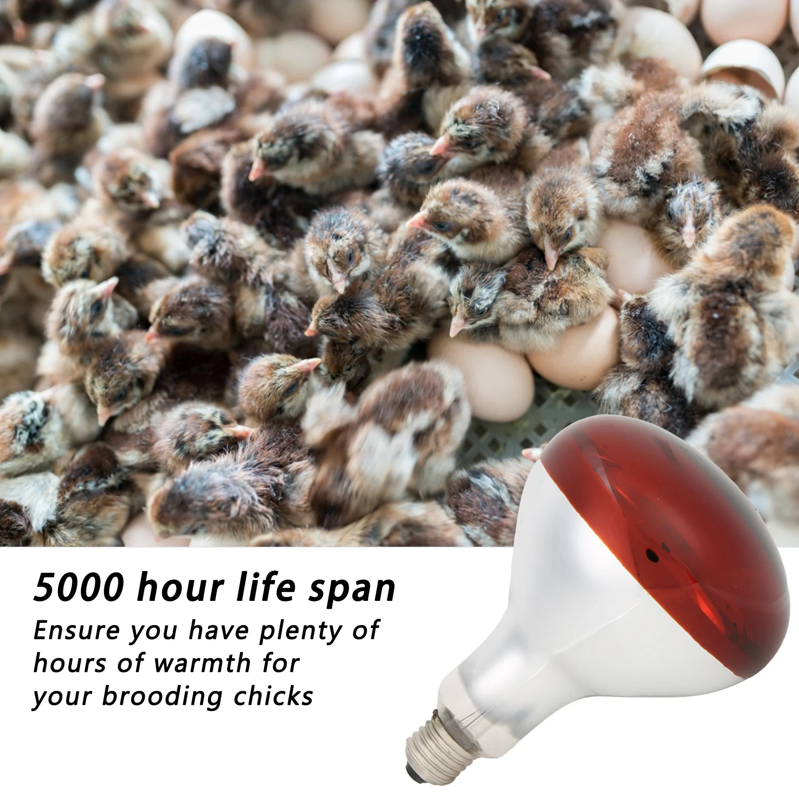 Chicks Heat Lamp Bulb Infrared Basking Spot Heat Reptile Lamp Red Bulb for Brooder 220V / 250W