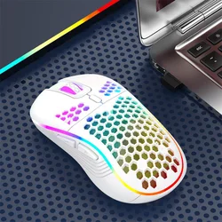 Wireless RGB Gaming Mouse with Ergonomic Honeycomb Design and Charging Capability (White wireless)