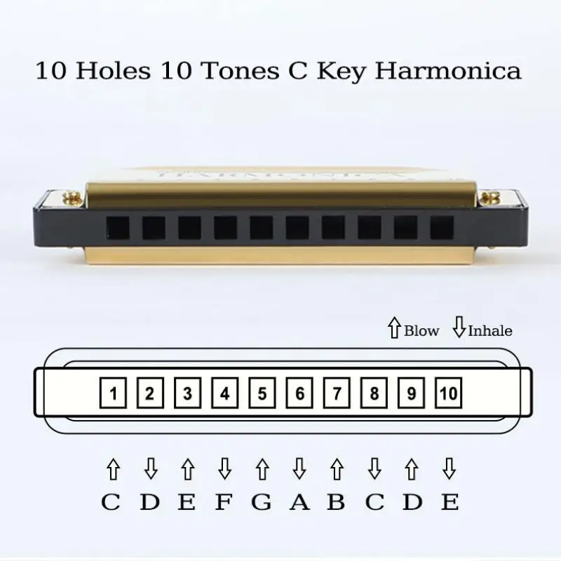 1PC Professionelle 10 Loch 20 Ton Mundharmonika Farbe C Ton Mundharmonikas Mit Fall Weihnachten Geschenk Für Anfänger Mundharmonika – Detail 7